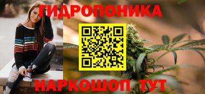 сатива Коммунар